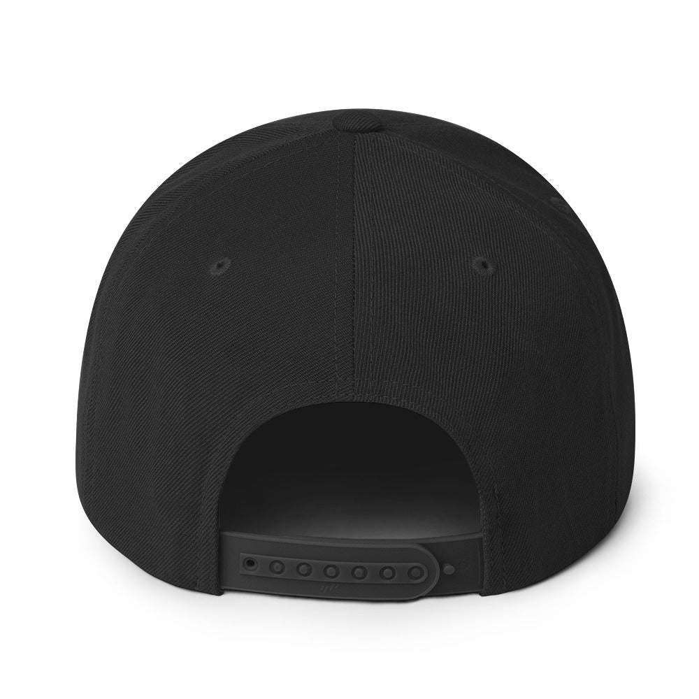 STS Snapback Hat